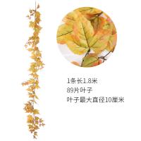 uploads/erp/collection/images/Home Garden/CongDing/XU0611929/img_b/XU0611929_img_b_3